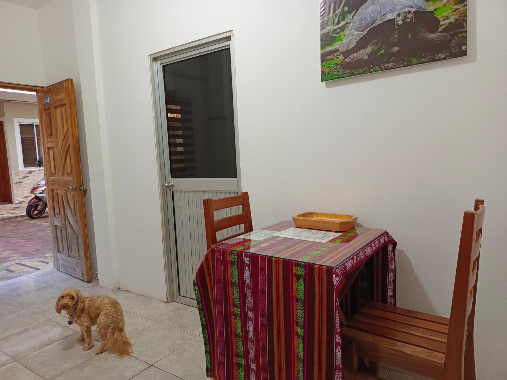 Teresita'S House Suites Con Cocina Privada Puerto Baquerizo Moreno Kültér fotó